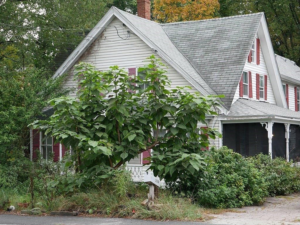 359 Hartford Ave, Bellingham, MA 02019 Zillow