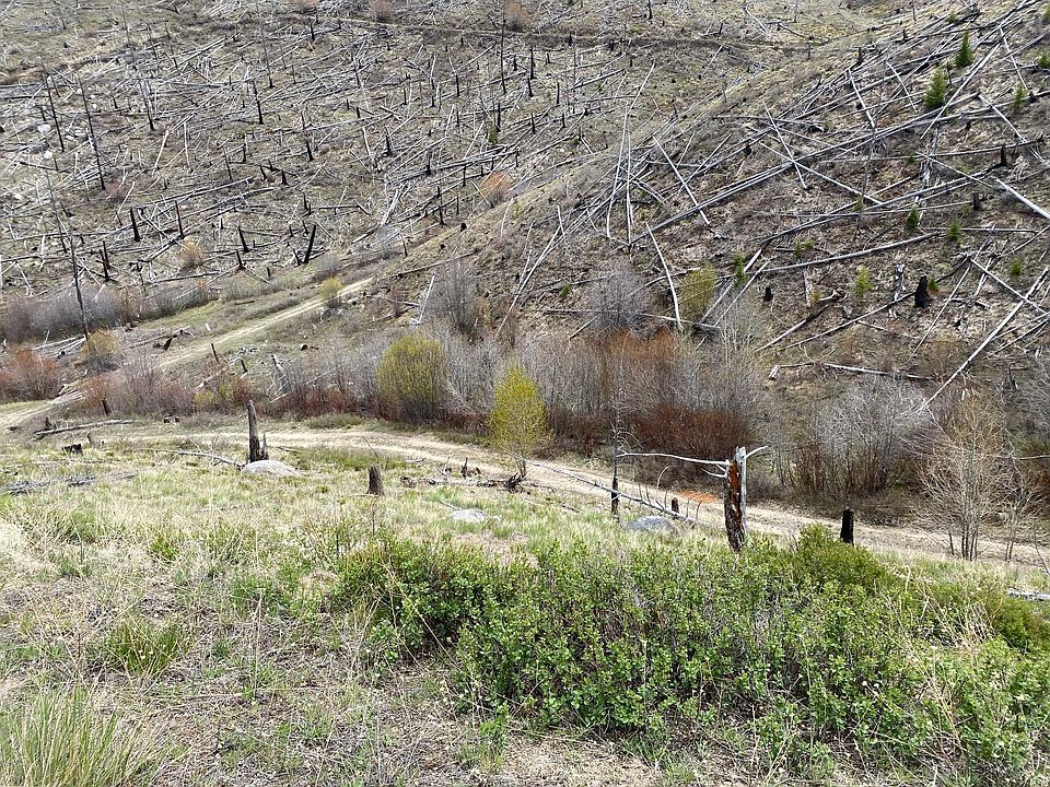 2nd image of Nhn Dickson Creek Rd