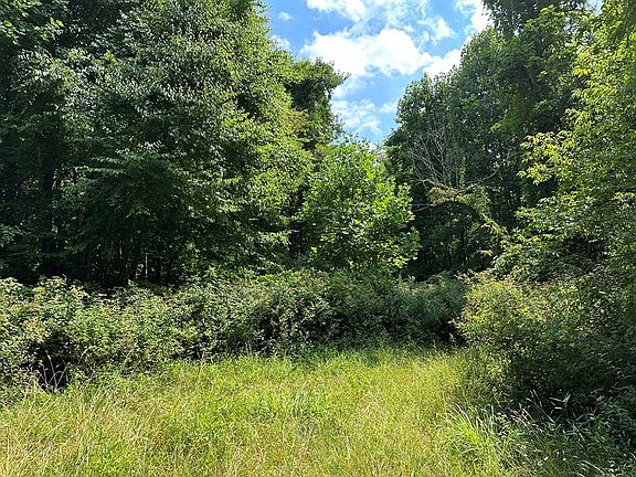 3rd image of Long Bow Ln