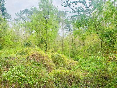 10 Gardiner Pl, Laurel, MS, 39440