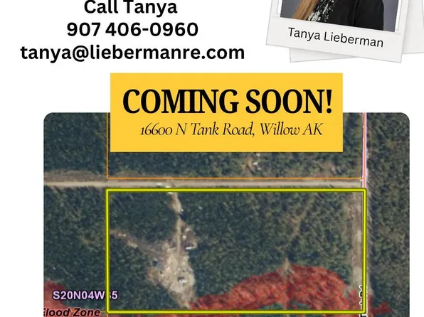 16600 N Tank Rd, Willow, AK 99688