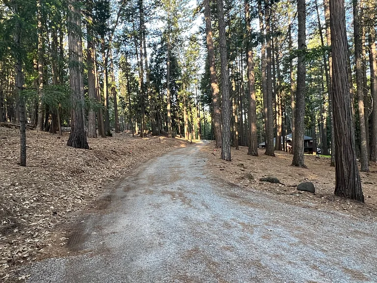 Road to home from main street Chip N Dale
