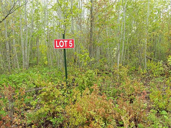 2nd image of LOT 5 BEAVER DAM RD