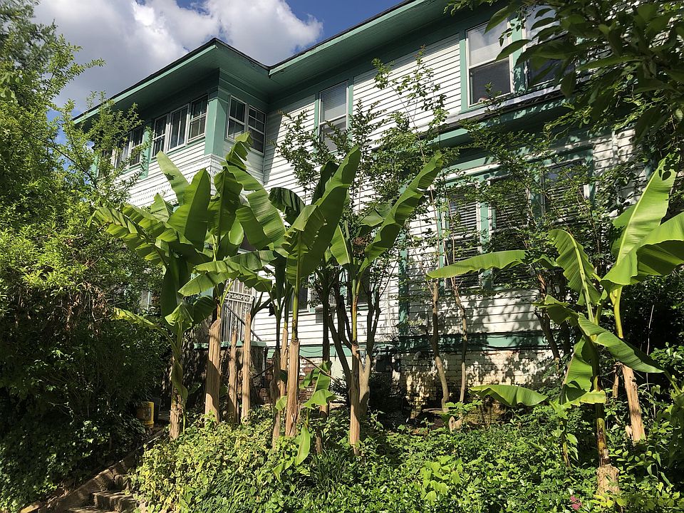 Great sun. Banana and Plum Trees out front.