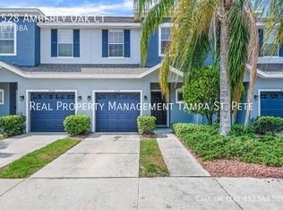 4528 Amberly Oaks Ct, Tampa, FL 33614