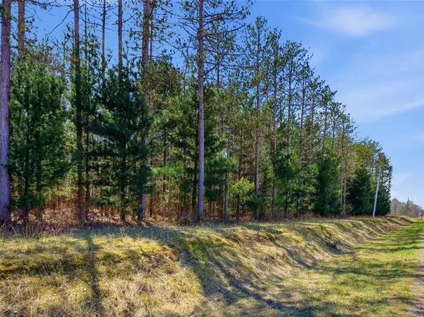 0 Nelson Road and WI-37, Mondovi, WI 54755