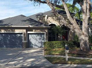 3621 Cordgrass Dr, Valrico, FL 33596