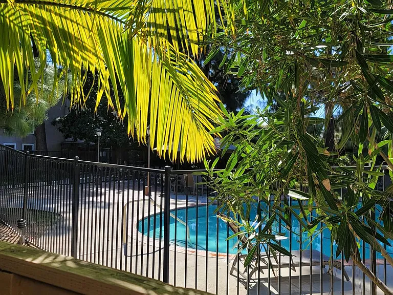 1699 Laguna St #115 — Photo 10