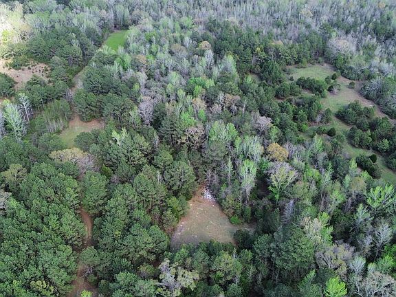 Dji Fly 20260401 170922 574 1775078229482 Photo Optimized