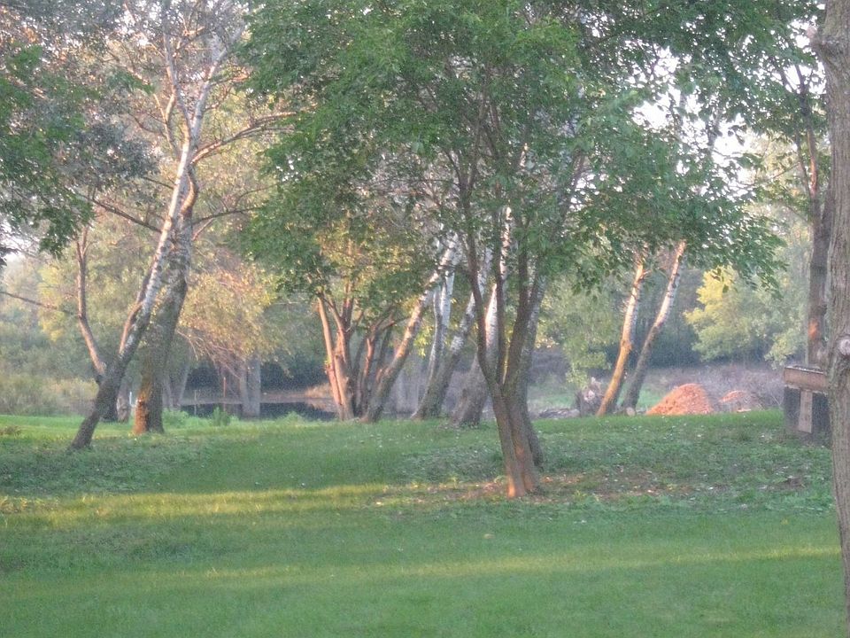Across from school