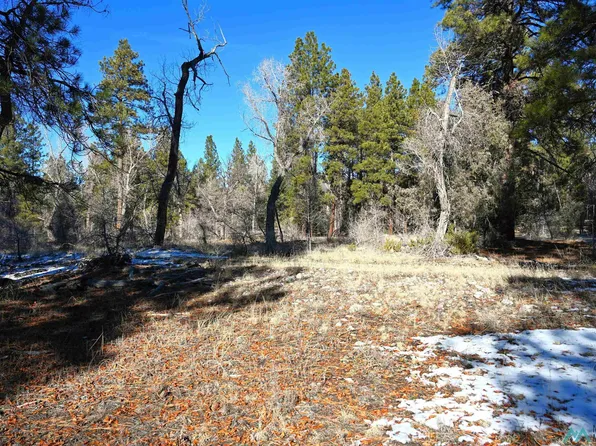 10 Nm Br #512, Chama, NM 87520