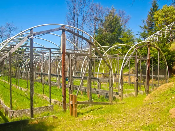 313 Cobb Rd, Bridgeville, CA 95526