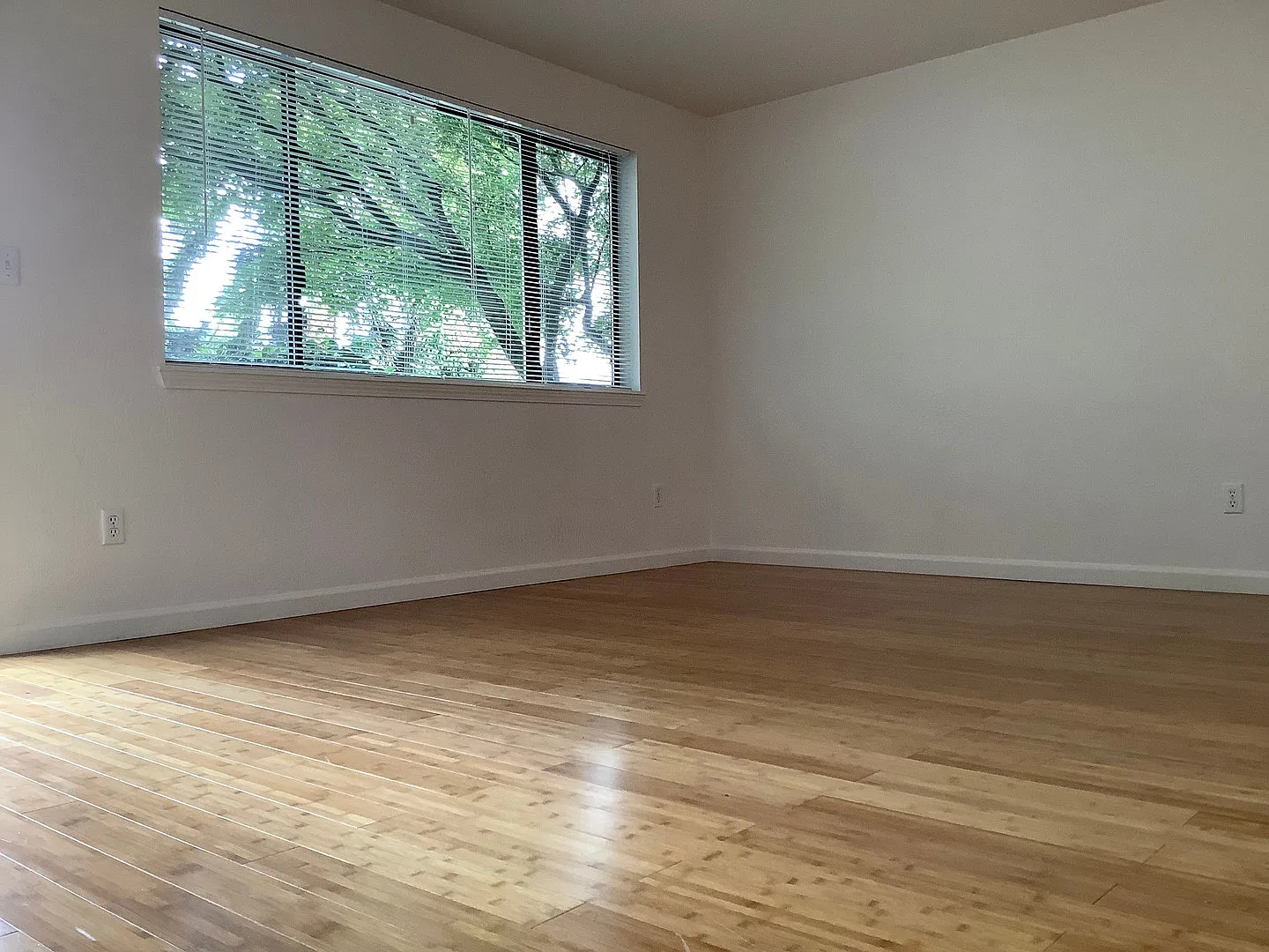 Three bedroom, 1.5 bath townhouse in quiet community | Available Mid-November — Photo 3