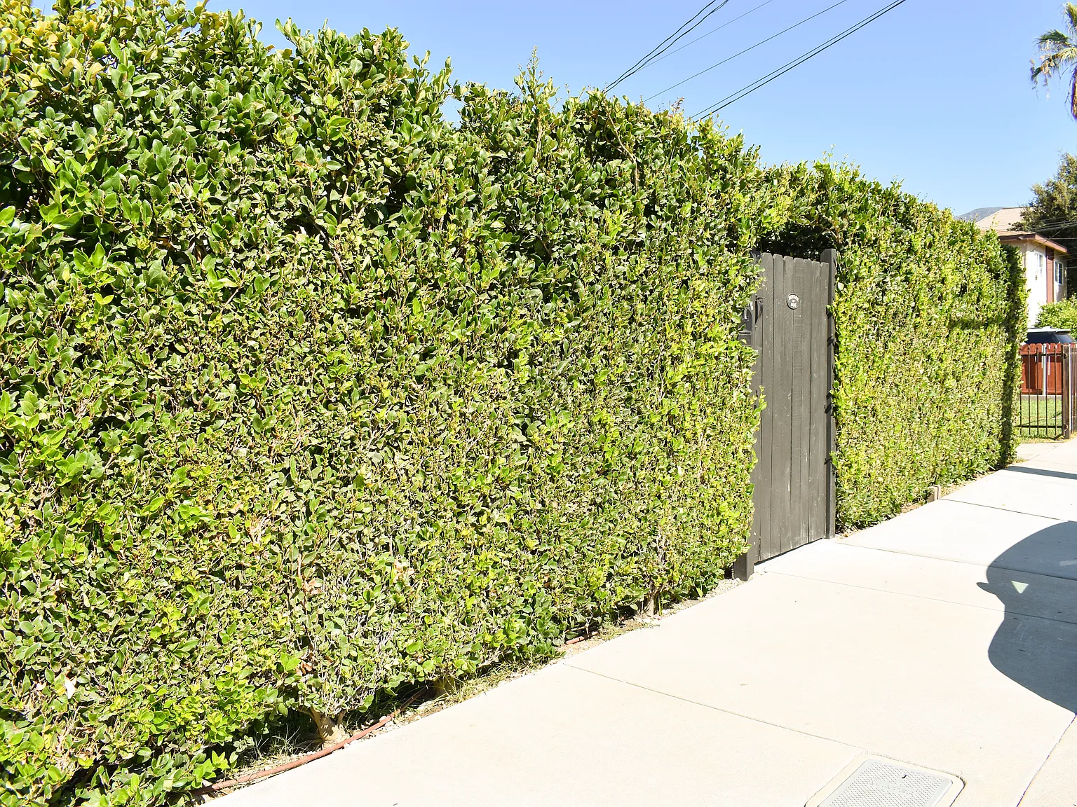 2 bed, 634 sqft, $3,500 — Photo 2