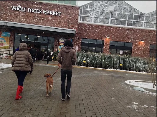 Rented by Lucrum Group | media 16