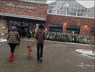 Rented by Lucrum Group