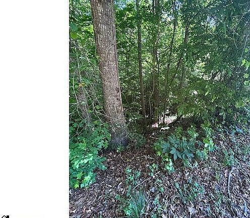 5th image of 0 Sitton Mill Rd