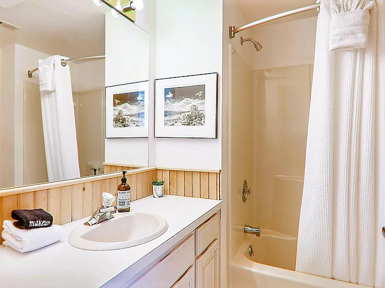 Guest suite 4 bathroom