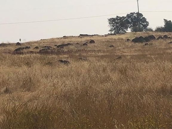 5th image of 2M-733 Banderilla Dr