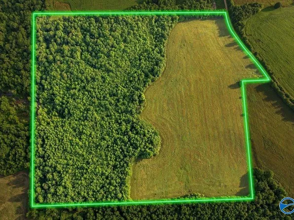 40.84 County Road 668, Henagar, AL 35978