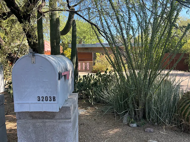 3203 E Terra Alta Blvd #B — Photo 20