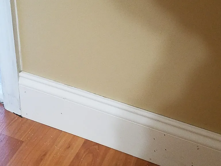 2625 Isabella Ave — Photo 5