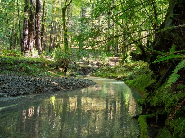 1490 Felta Road, Healdsburg, CA 95448