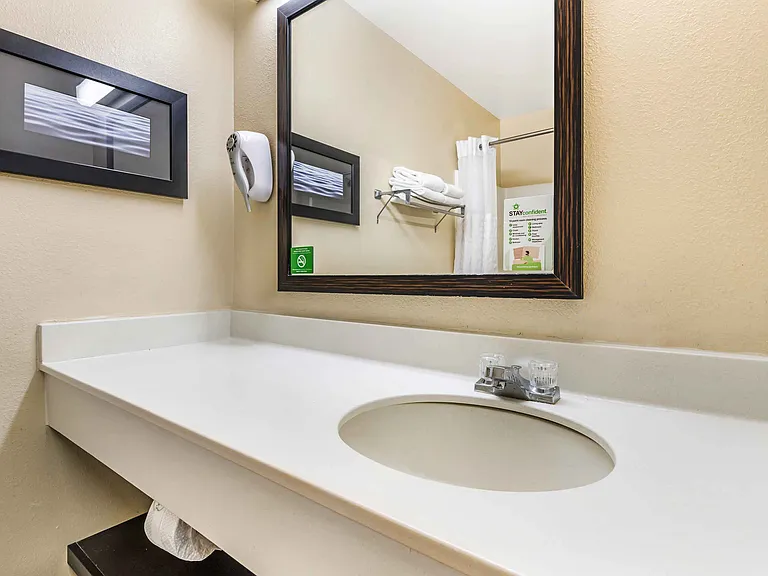 1 Bedroom Suite - 1 King Bed