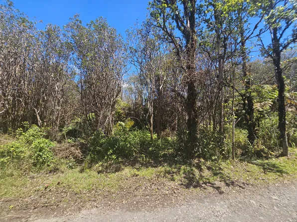 Road 9 Lot 554, Mountain View, HI 96771