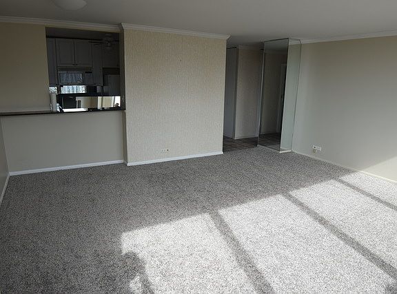5th image of 1360 N Sandburg Ter APT 2005