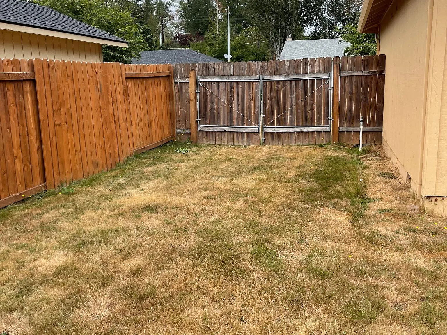3 bed, 1218 sqft, $2,700 — Photo 4