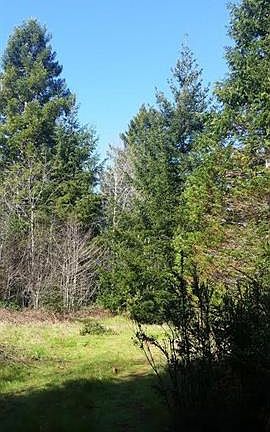 5th image of 00 Ariel Lane