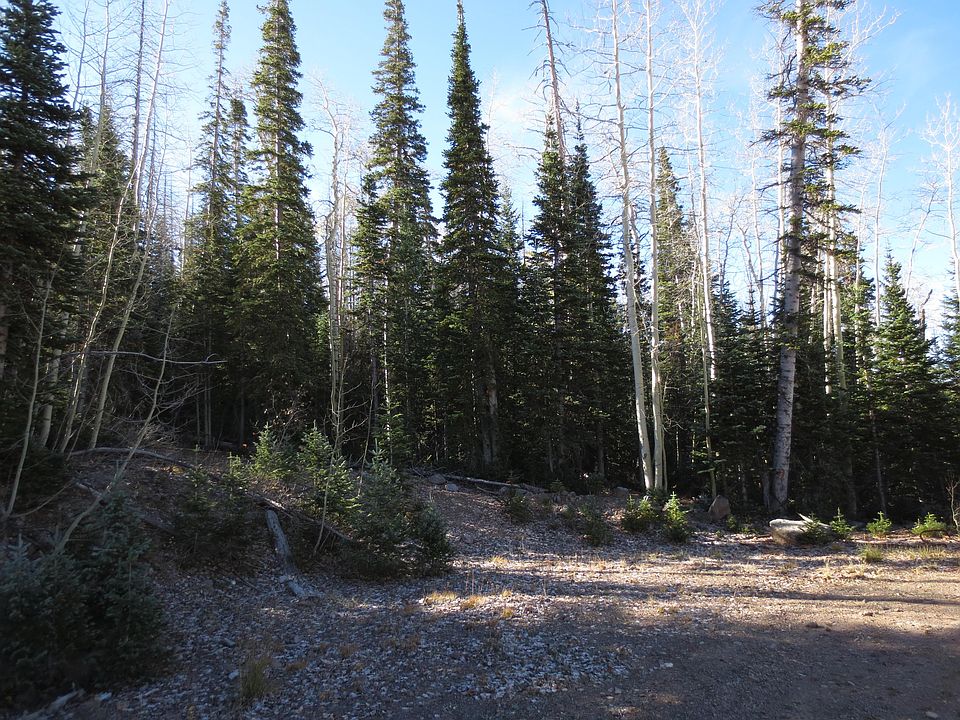 1st image of 113 E Cougar Ct