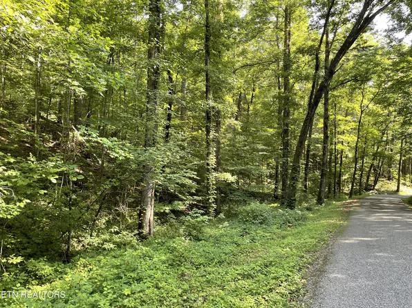 0 Turkey Creek Rd, Tellico Plains, TN 37385