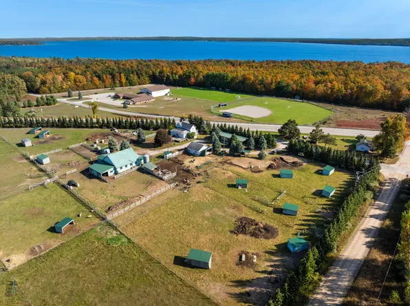 10522 Rotter Rd, Alanson, MI 49706