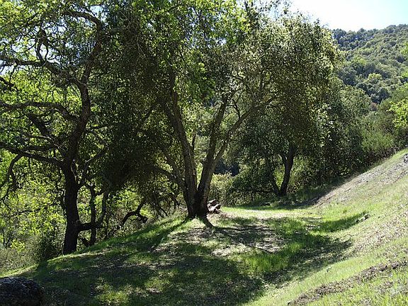 2nd image of 17297 Chesbro Lake Dr