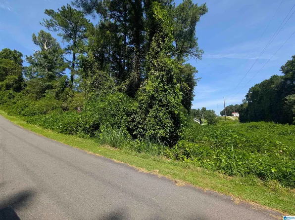 0 Hilltop Rd #0, Weaver, AL 36277