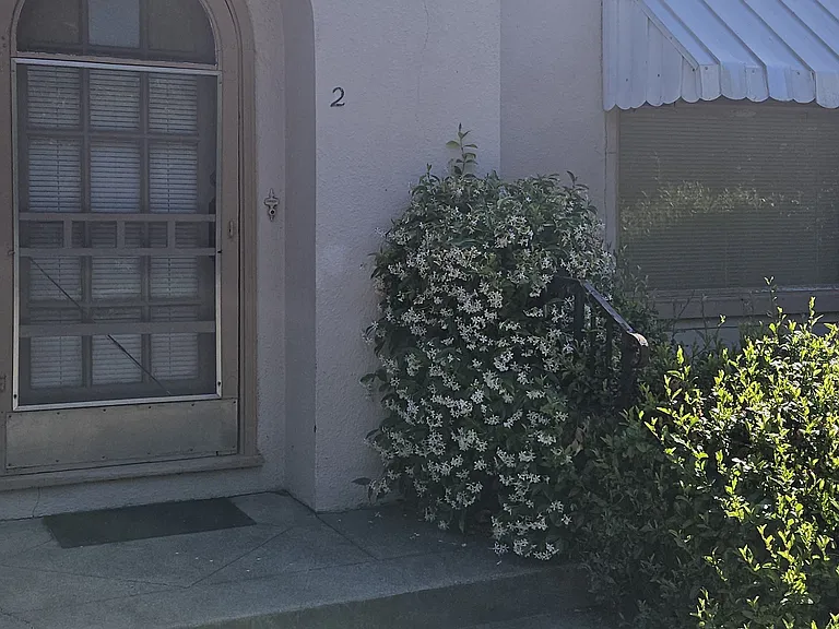803 Smalley Ave #2 — Photo 2