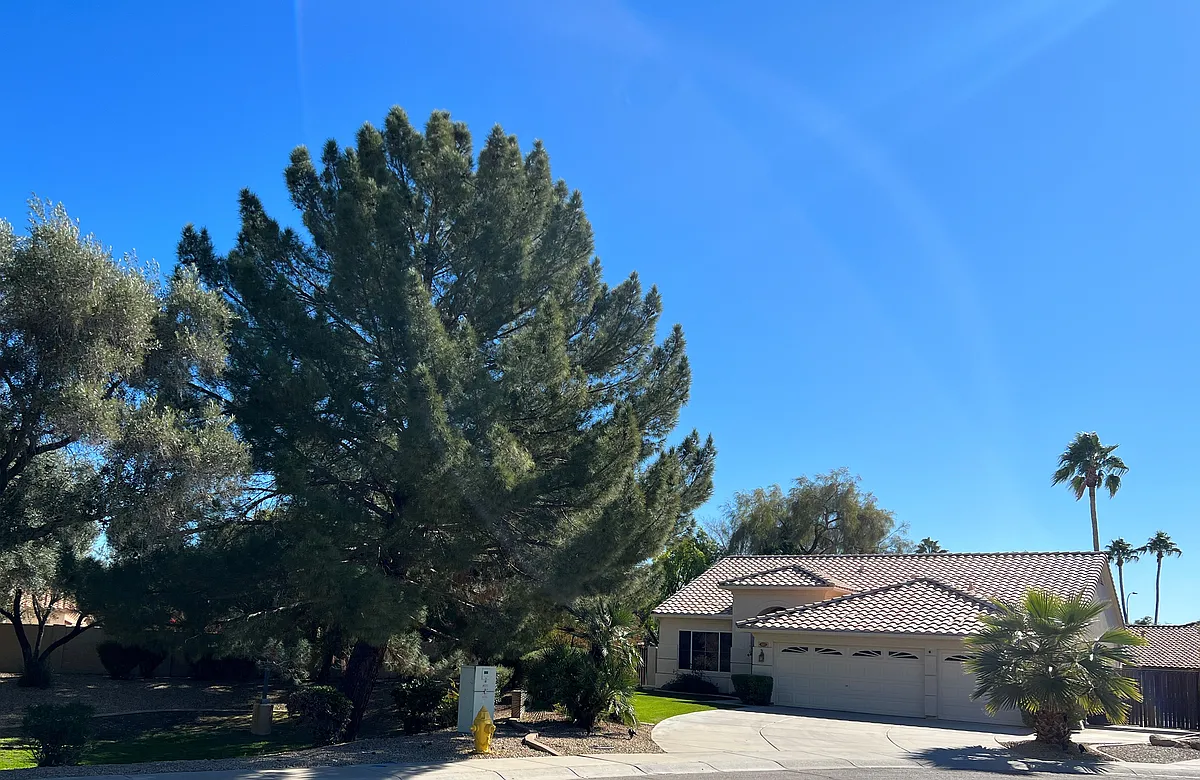 Building Photo - 435 W Larona Ln