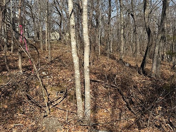 3rd image of 11 Pamela Ln #11