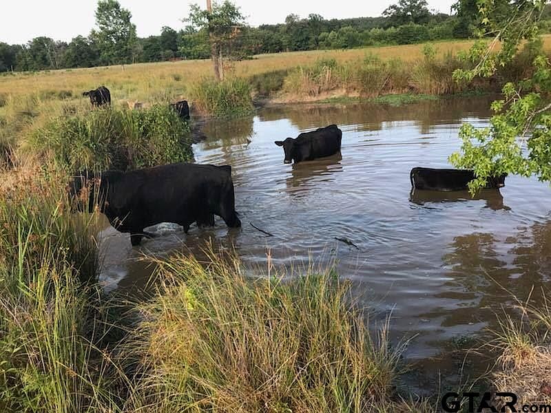 1st image of 1477 County Road 3510