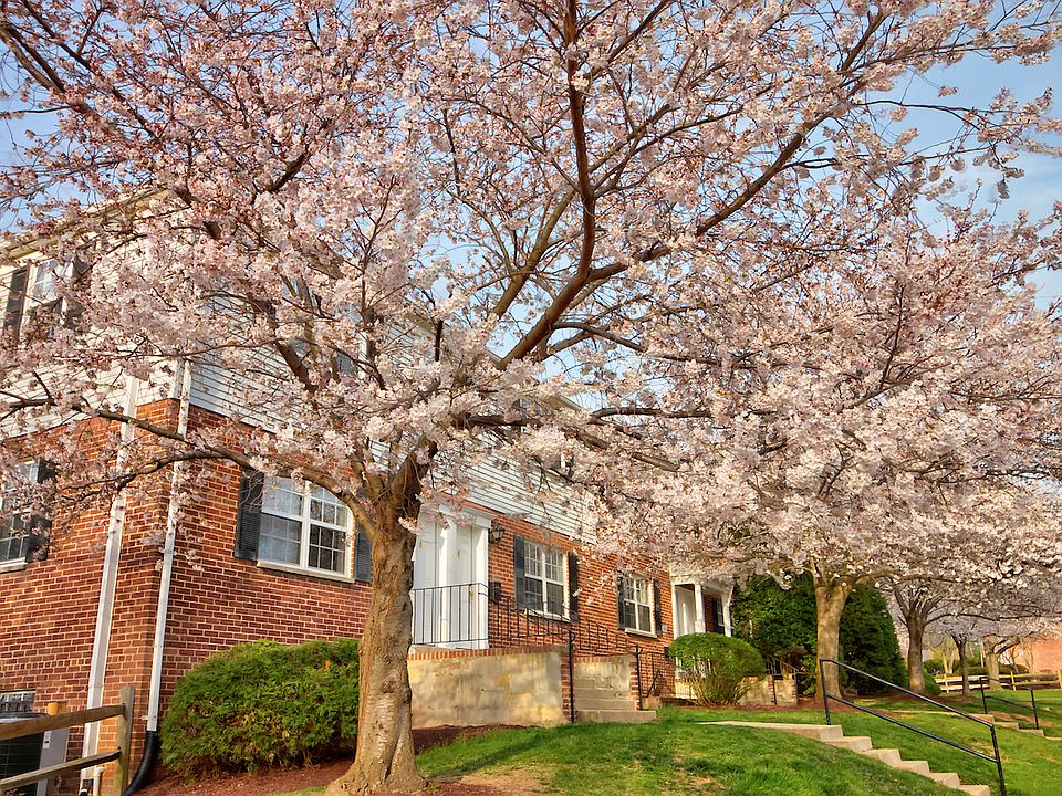 Kingsley Commons Townhouses 7308 Arlington Blvd Falls Church, VA Zillow