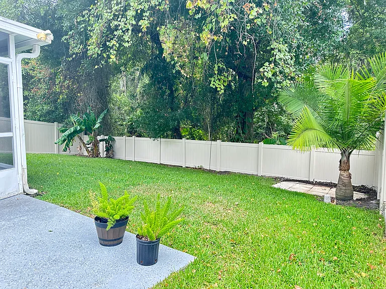 Backyard