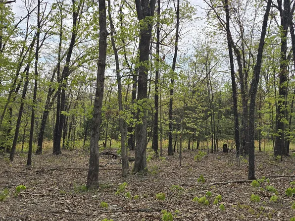 Tract Q Galaxy Lane Lane, Lebanon, MO 65536