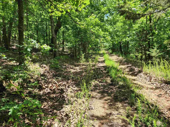 L-14 Paiute Dr #B, Cherokee Village, AR 72529