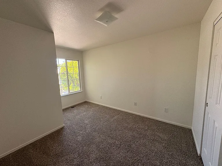 5726 Dewberry Ct — Photo 6