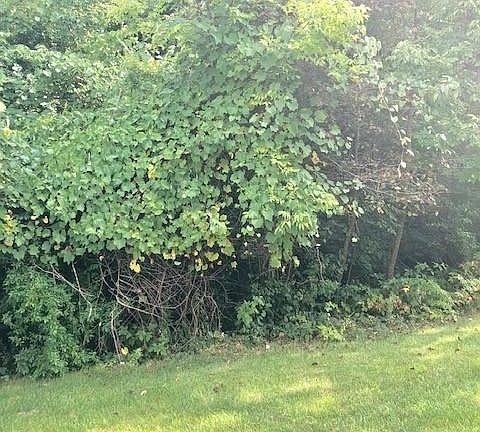 4th image of 1374 Kendal Dr