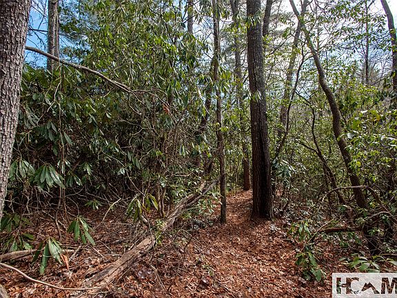 4th image of Lot 108R Rockhouse Falls Lane