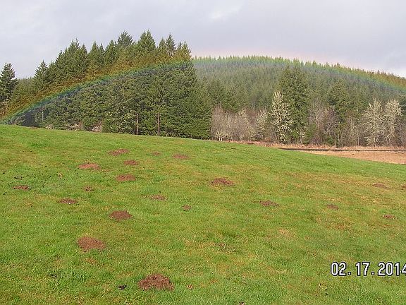 Molehills and Rainbow