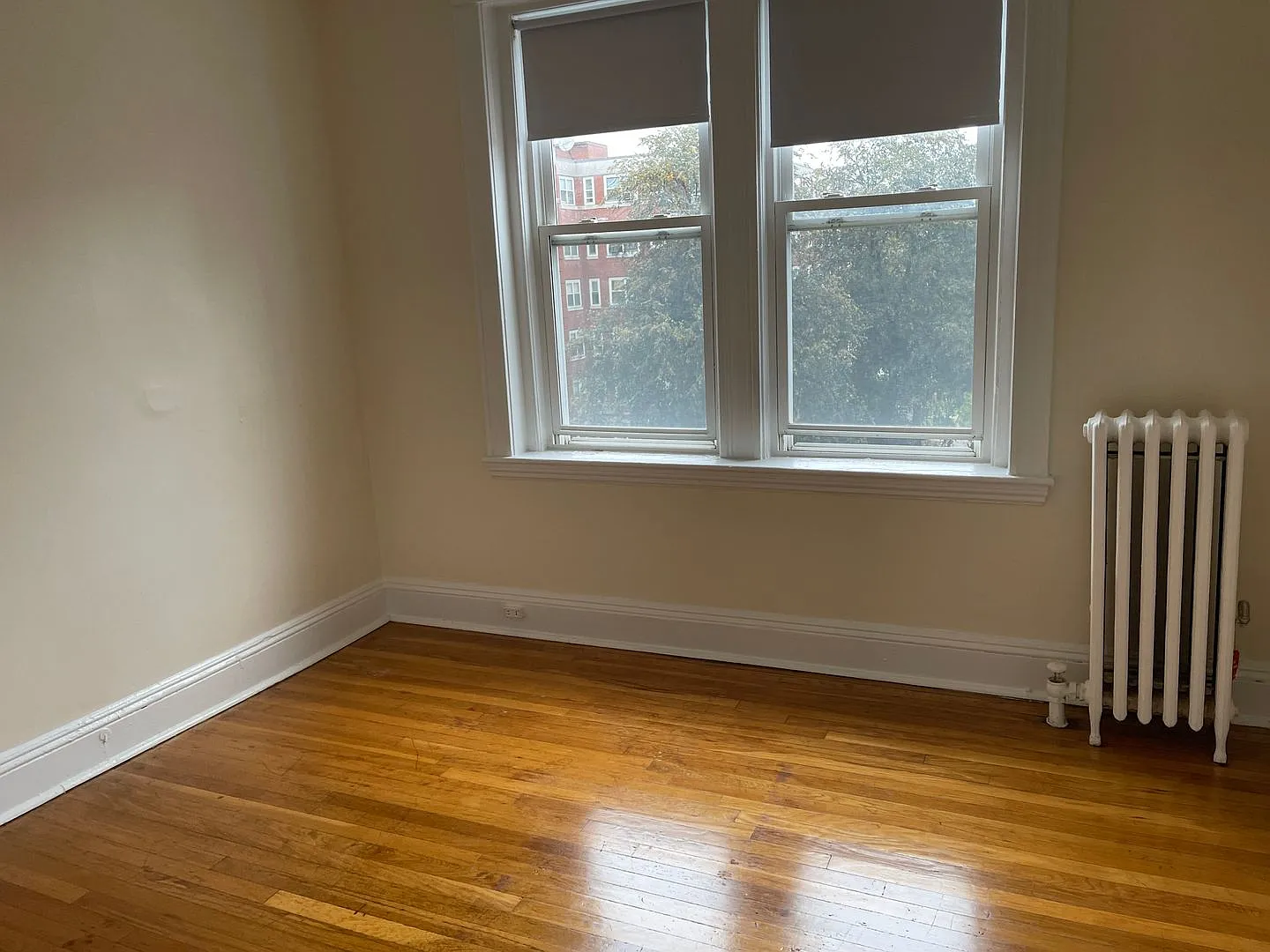Brighton Near St Es Hospital and T stop 3rd Floor Super sunny spacious 2 bed Nice Place! — Photo 4